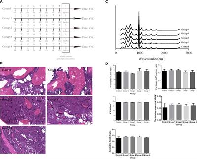 The feasibility of discriminating BRONJ lesion bone with Raman spectroscopy